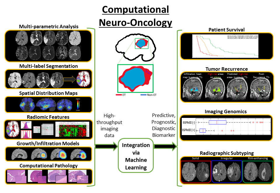 Artificial Intelligence In Biomedical Imaging Lab (AIBIL) | Radiology ...